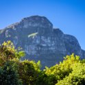 ZAF WC CapeTown 2016NOV14 KNBG 014 : 2016, 2016 - African Adventures, Africa, November, South Africa, Southern, Western Cape, Cape Town, Kirstenbosch National Botanical Garden
